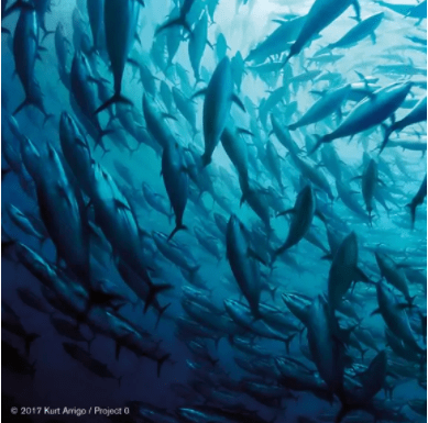 Blue Heart Crème de la Mer