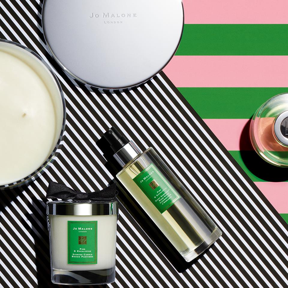 Pine &amp; Eucalyptus Collection