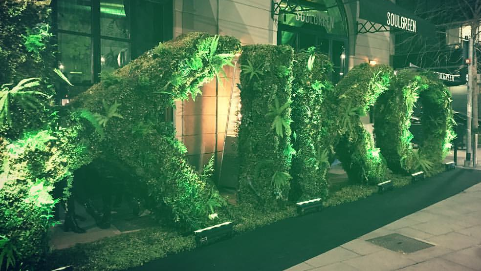 Recensione Green Me Kiko Milano, catalogo, foto e prezzi