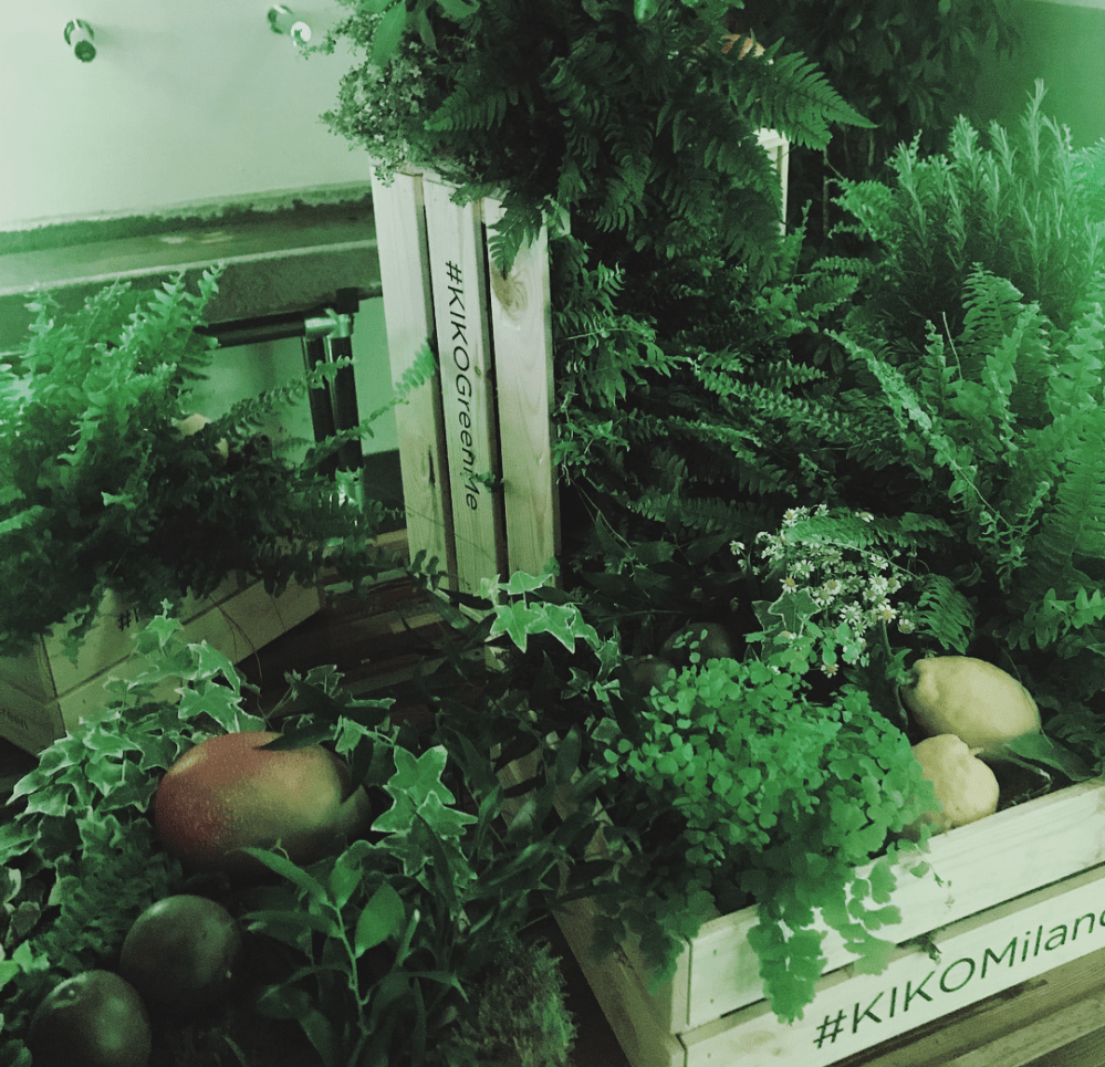 Recensione Green Me Kiko Milano, catalogo, foto e prezzi