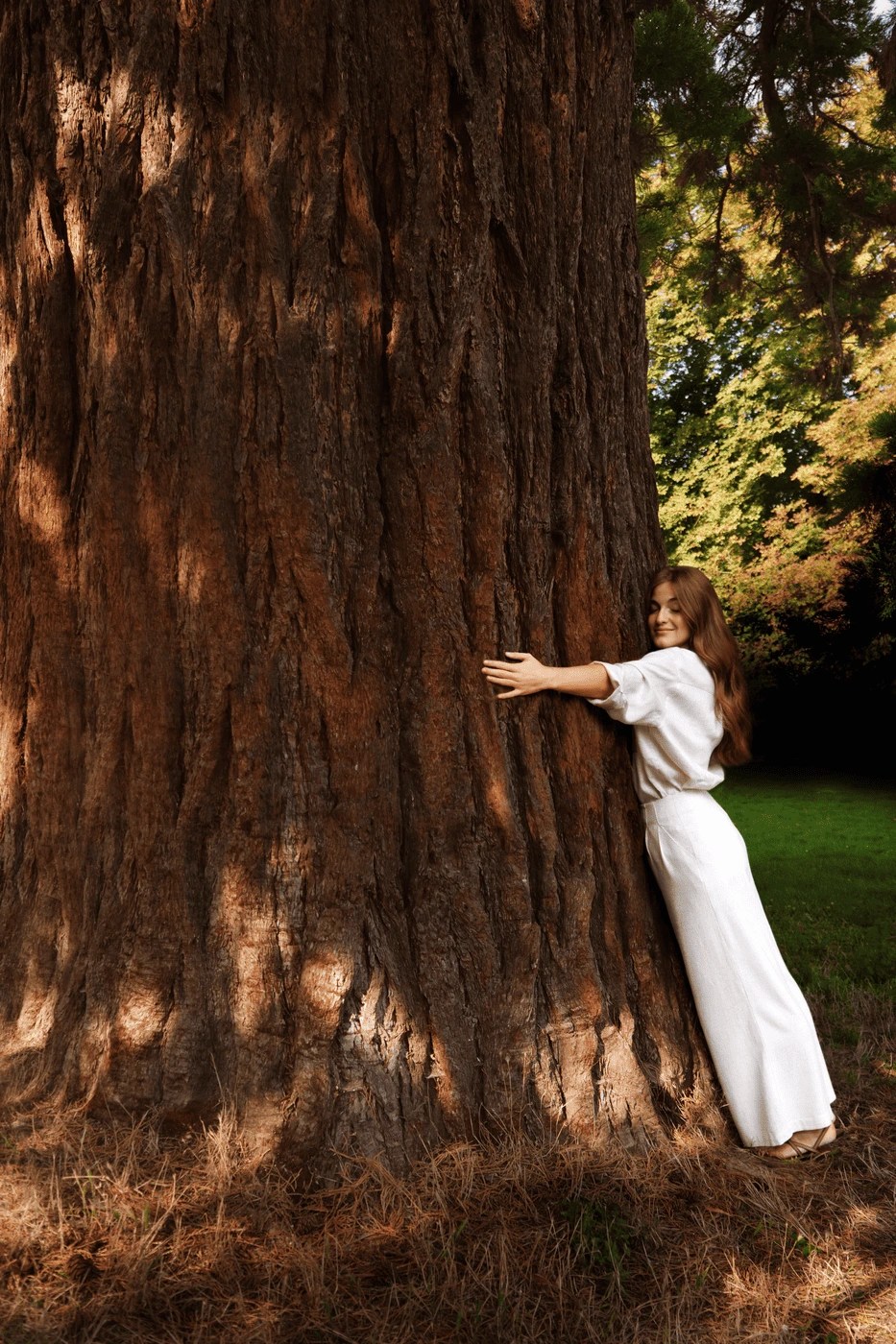 Clarins certificata B Corp™ per il suo impegno nella bellezza responsabile e sostenibile