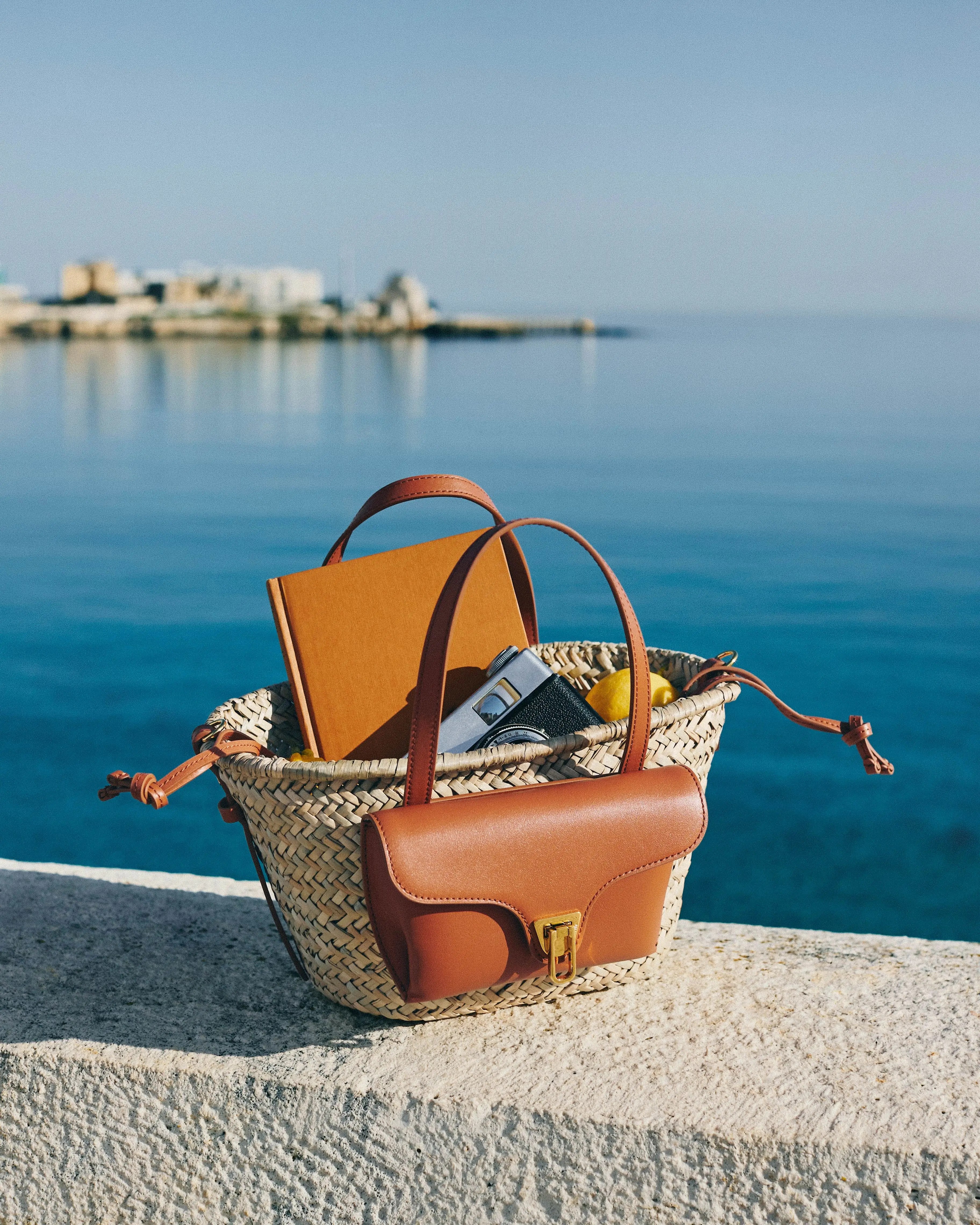 Collezione Coccinelle Primavera Estate 2026 borse donna eleganti contemporanee